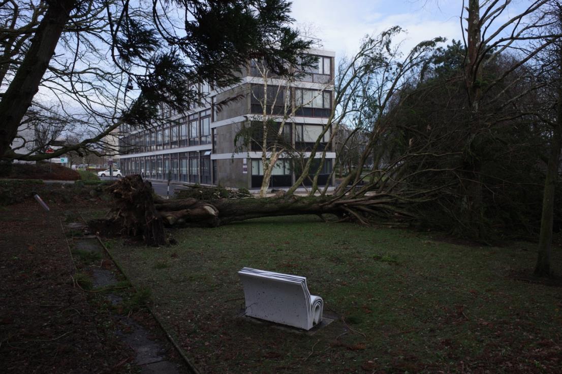 Uprooted Equilibrium